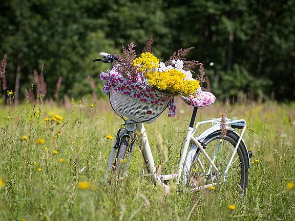 Radfahren im Zittauer Gebirge und eine Ferienwohnung in Oybin